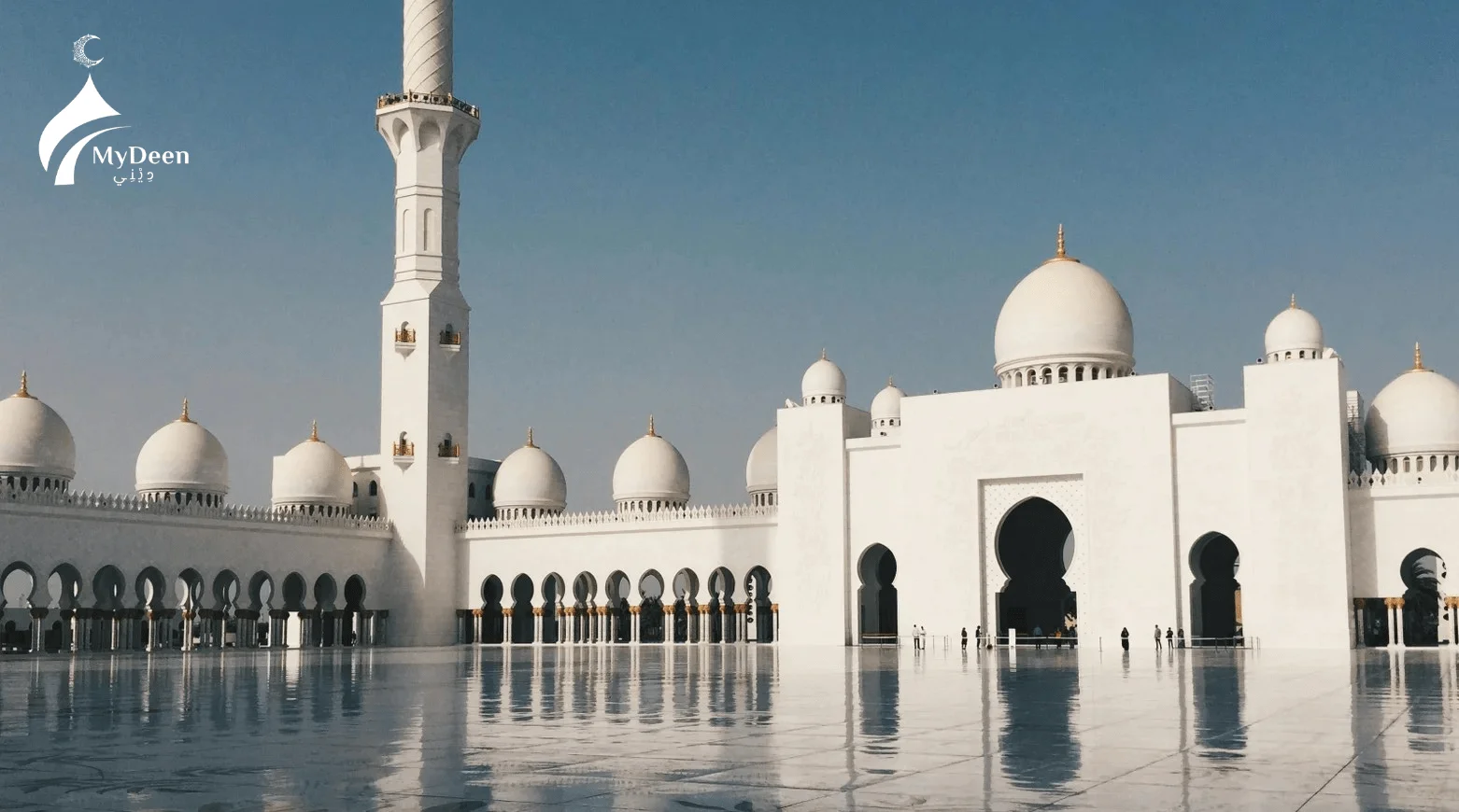 My Deen Institute , Online Quran Classes with Certified Teachers MyDeen institute